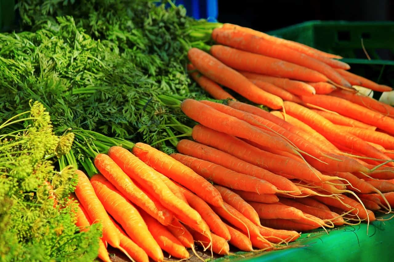 Carrot benefits for human health Fruit and Health Info